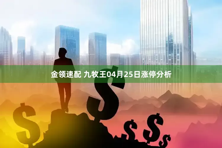 金领速配 九牧王04月25日涨停分析